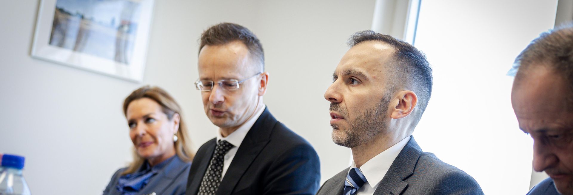 Developments in the Hungarian Healthcare Industry
