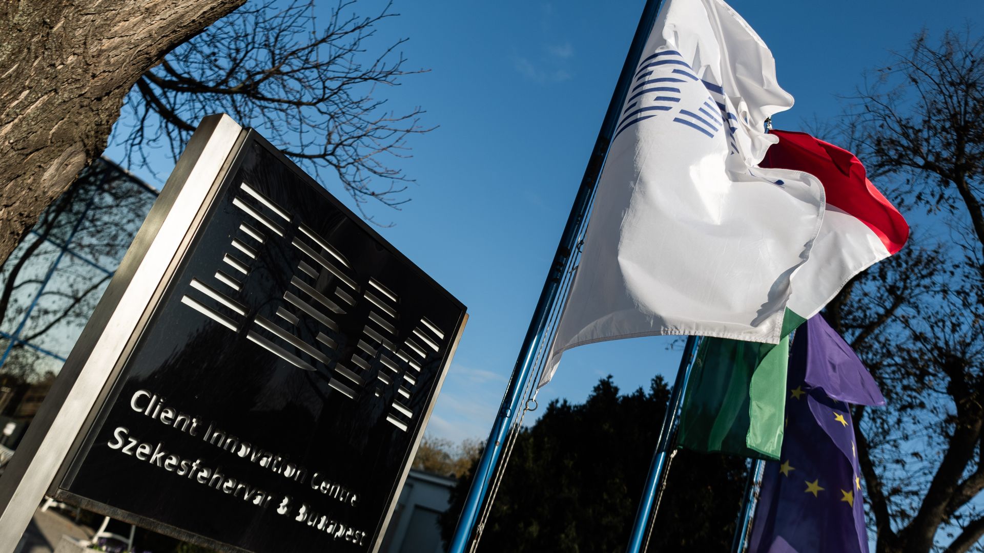 IBM is growing in Hungary